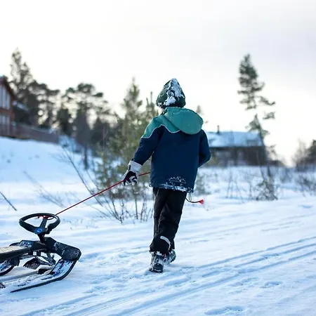 Log In Surrounded By Activity *