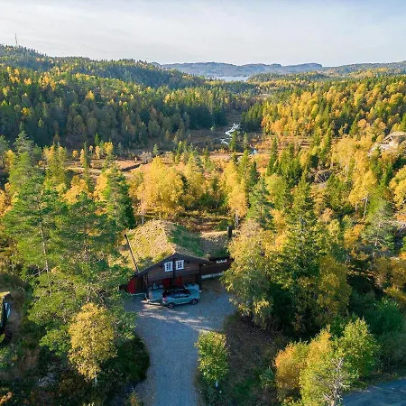 Log In Surrounded By Activity Evje