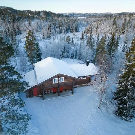 Log In Surrounded By Activity Dom wakacyjny